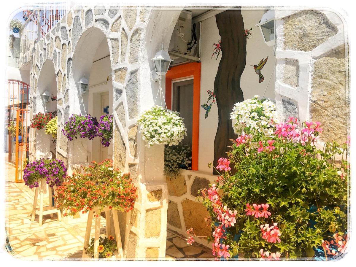 Bodrum Sade Pension 외부 사진