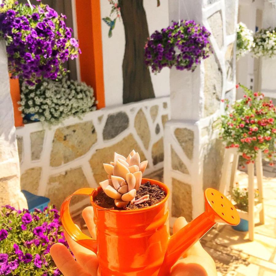 Bodrum Sade Pension 외부 사진