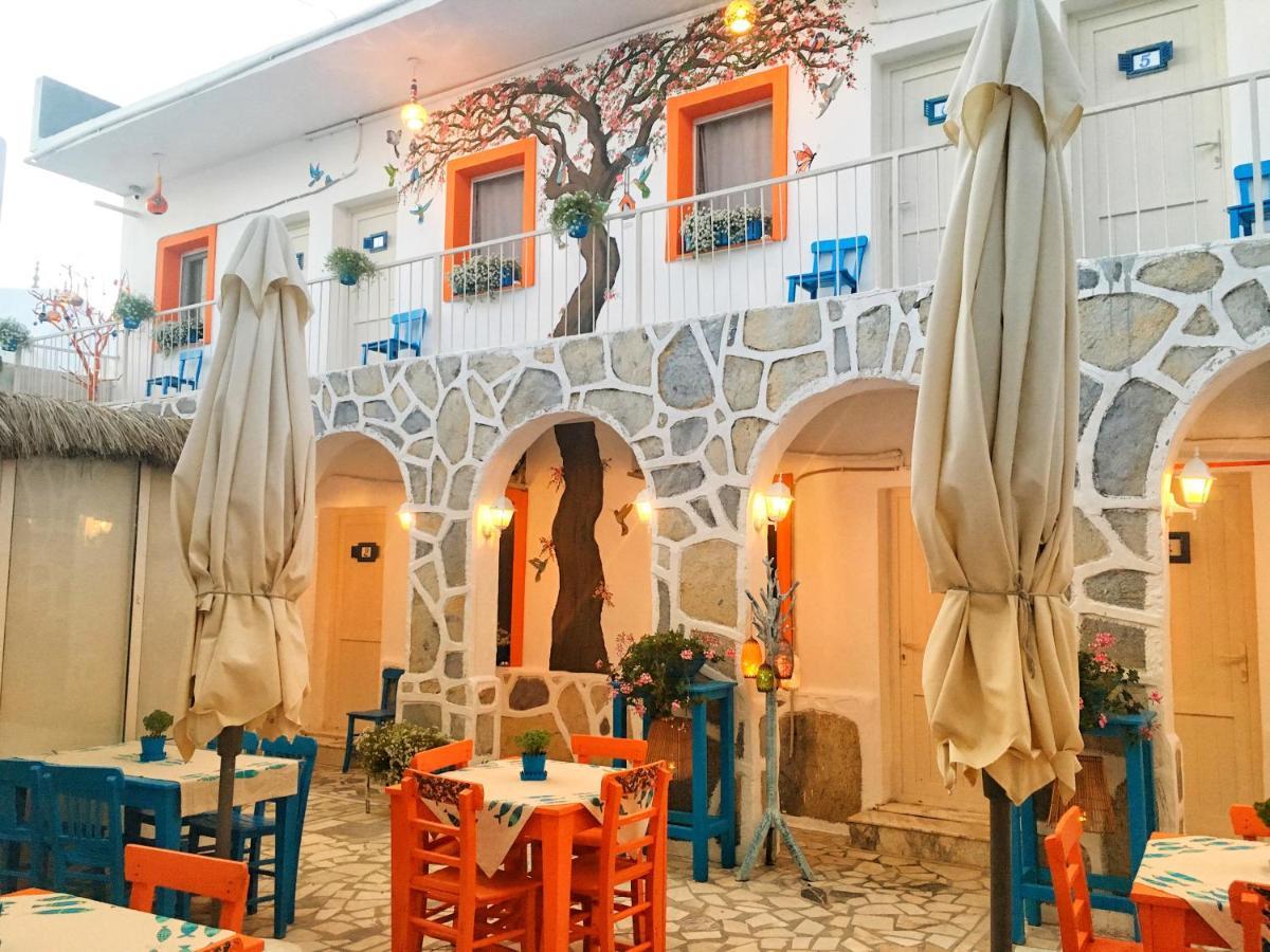 Bodrum Sade Pension 외부 사진